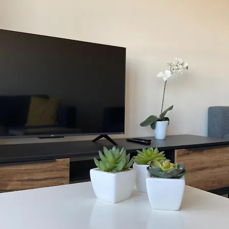 Apartment Lovely In With House Sea View Ostend